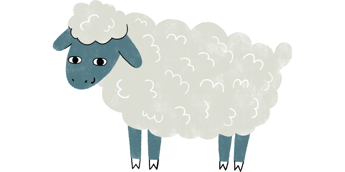 illustration of Sherbert the Sheep