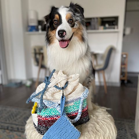 a happy Australian shepherd stands behind a fuzzy stool, on which is a patchwork handmade project basket