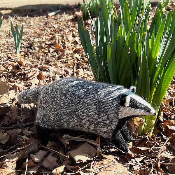 A knit stuffed badger seemingly scampers in front of some early spring blooms.