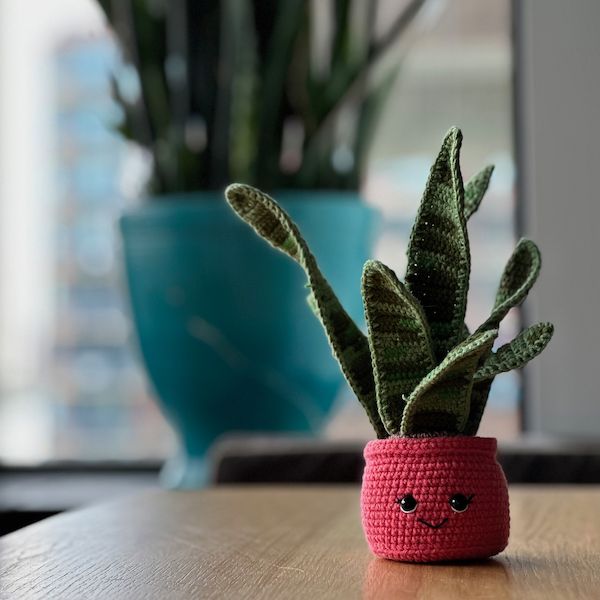 A cute amigurumi snake plant with a smiling face embroidered on the pot is on a table in front of a large snack plant.
