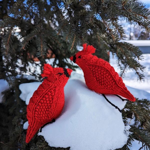 Two handknit bright red cardinals are posed on a snow-covered pine tree branch.