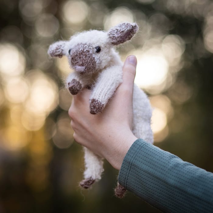 hands hold up a fuzzy knit lamb softie with perky ears made from white boucle yarn that looks like wool